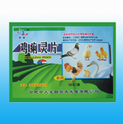 �c���鿴�����DƬ